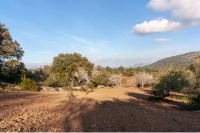 Posesión en Pollensa ,Pollensa