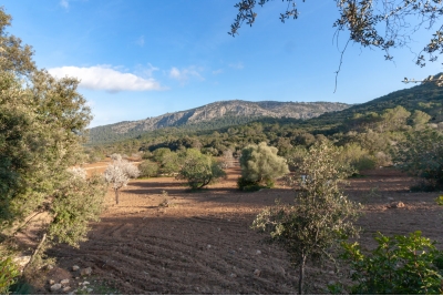 Posesión en Pollensa ,Pollensa