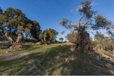 Posesión en Pollensa ,Pollensa