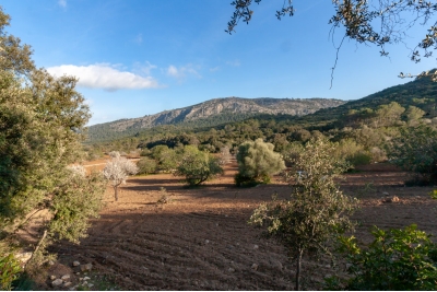 Posesión en Pollensa ,Pollensa
