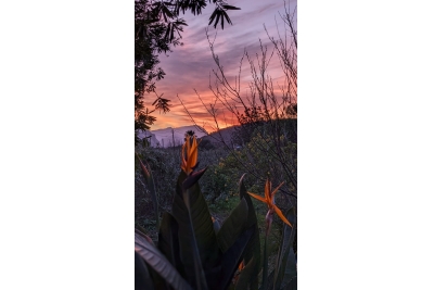 RUSTIC VILLA POLLENSA ,Pollensa