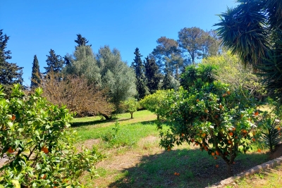 RUSTIC PROPERTY FOR SALE ,Biniali
