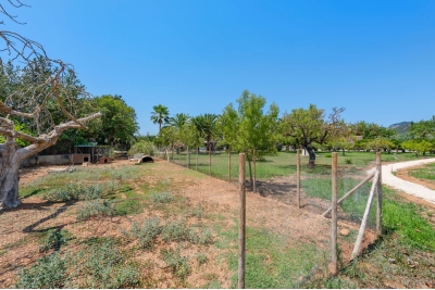 FINCA BINISSALEM ,Binissalem