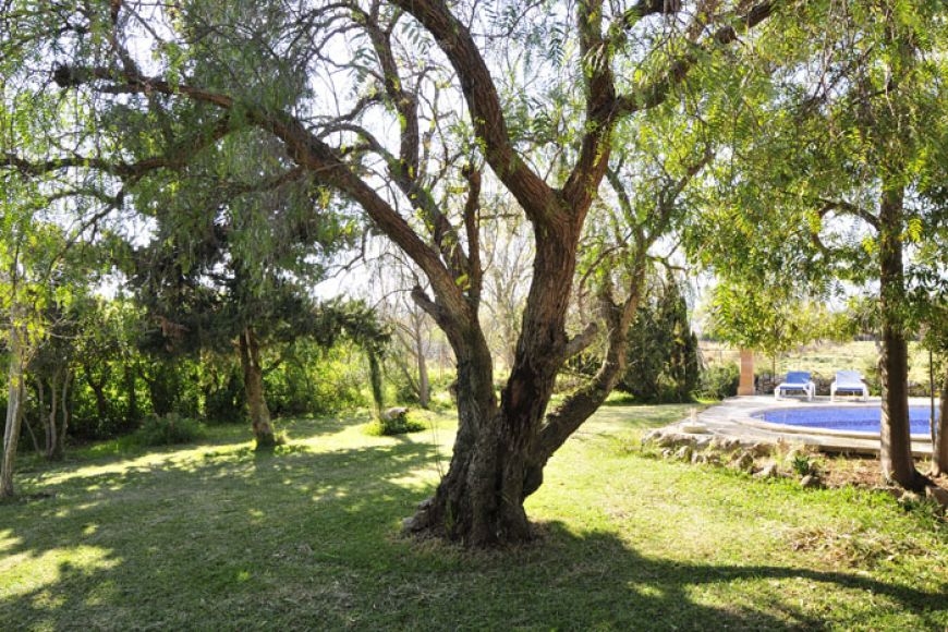 Villa Marga