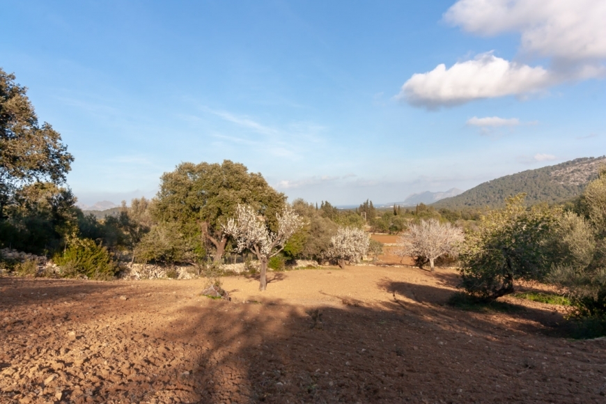 Posesión en Pollensa