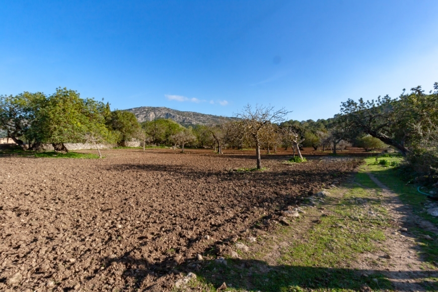 Posesión en Pollensa