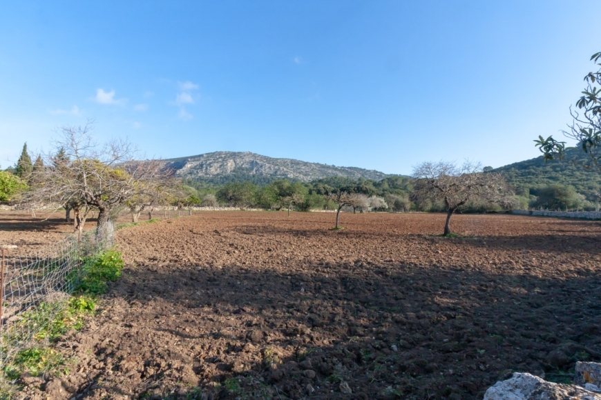 Posesión en Pollensa