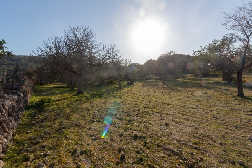Posesión en Pollensa