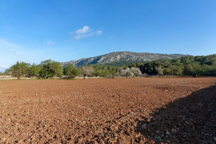 Posesión en Pollensa