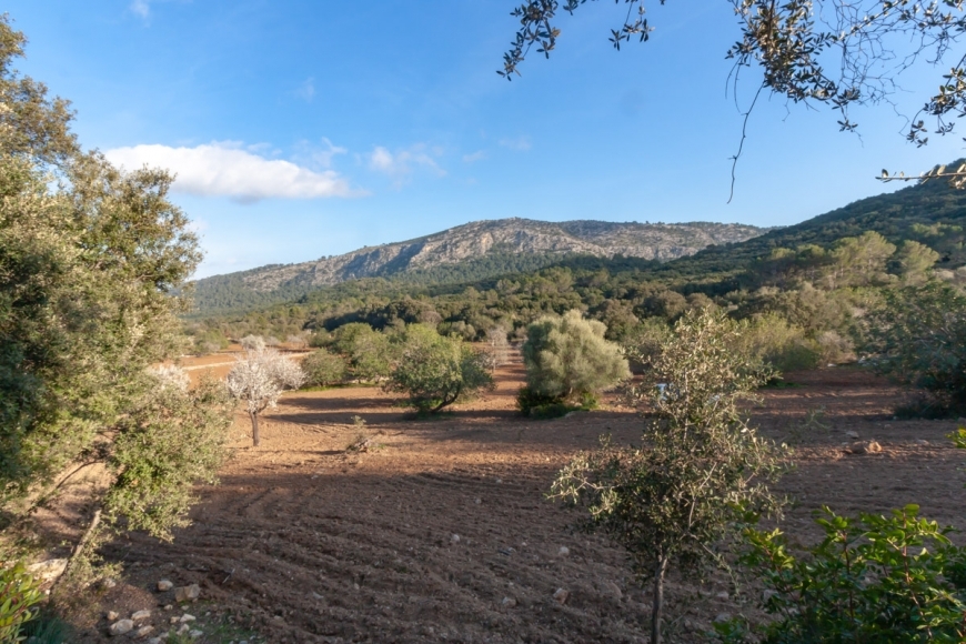 Posesión en Pollensa