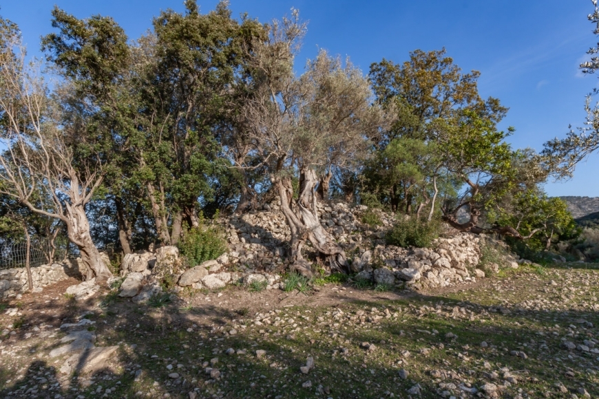 Posesión en Pollensa