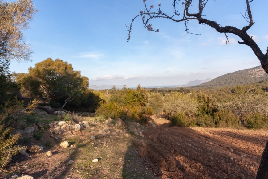 Posesión en Pollensa