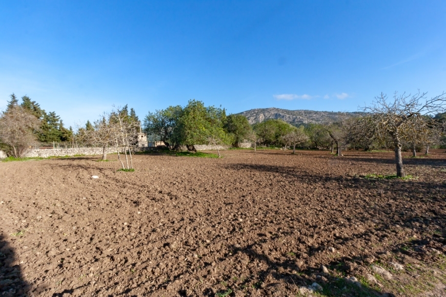 Posesión en Pollensa