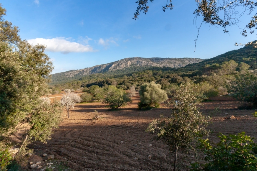 Posesión en Pollensa