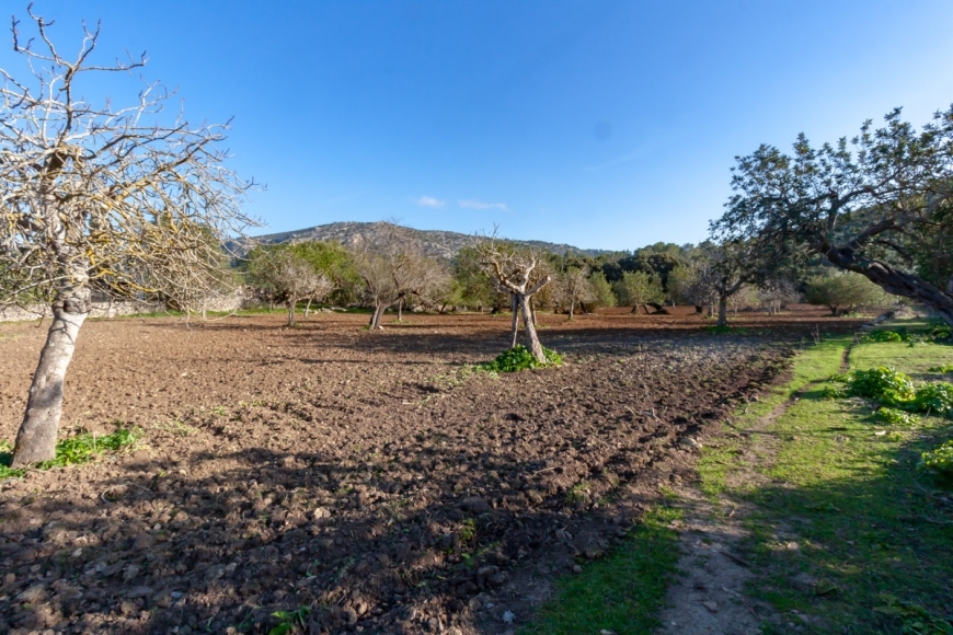 Posesión en Pollensa