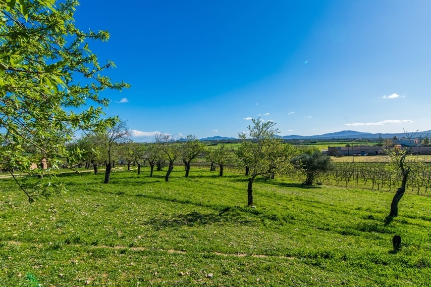 VILLA with RENTAL LICENSE