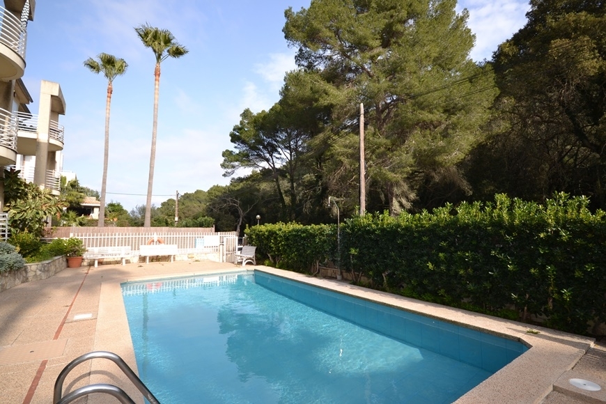 APARTAMENTO CON PISCINA