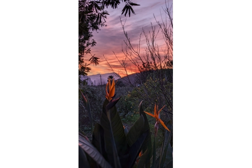 RUSTIC VILLA POLLENSA