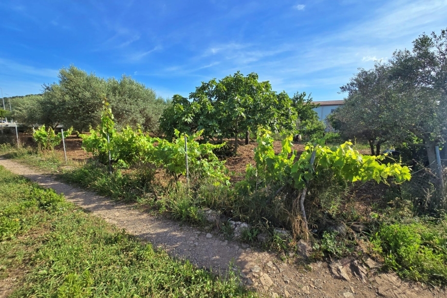 CASA DE CAMPO