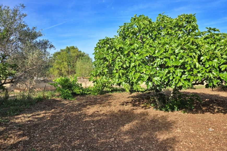 CASA DE CAMPO