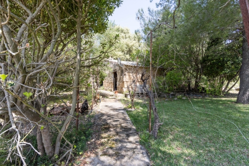 FINCA EN POLLENSA