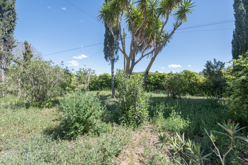 FINCA FOR SALE ,SENCELLES
