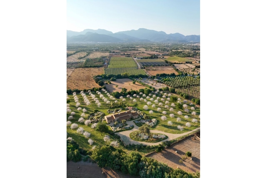 Villa los almendros