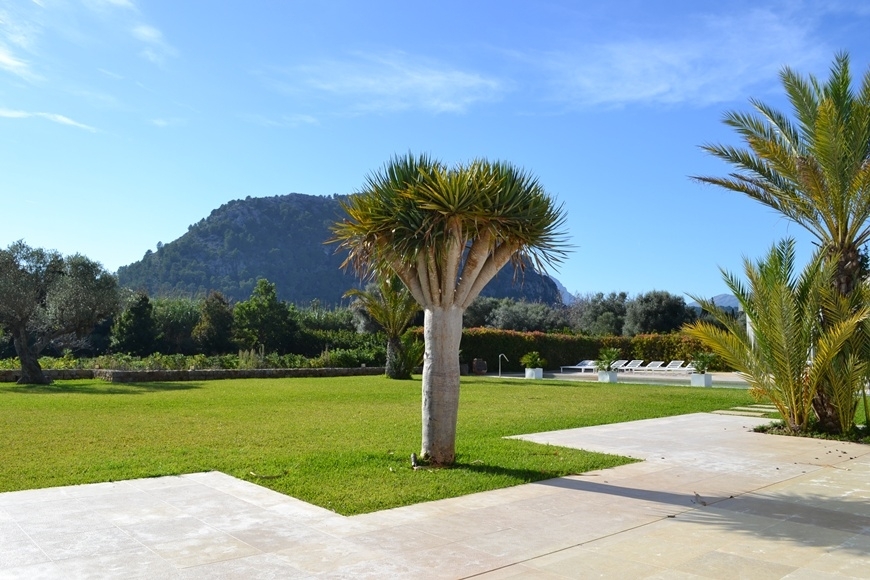 COUNTRY HOME - FINCA