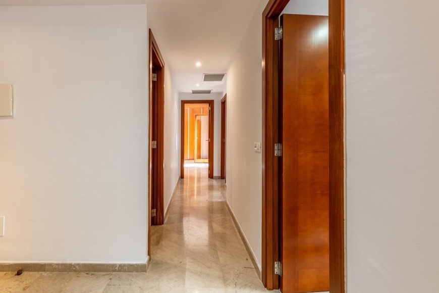 APARTAMENTO PLANTA BAJA